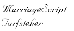 MarriageScript