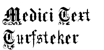 Medici Text